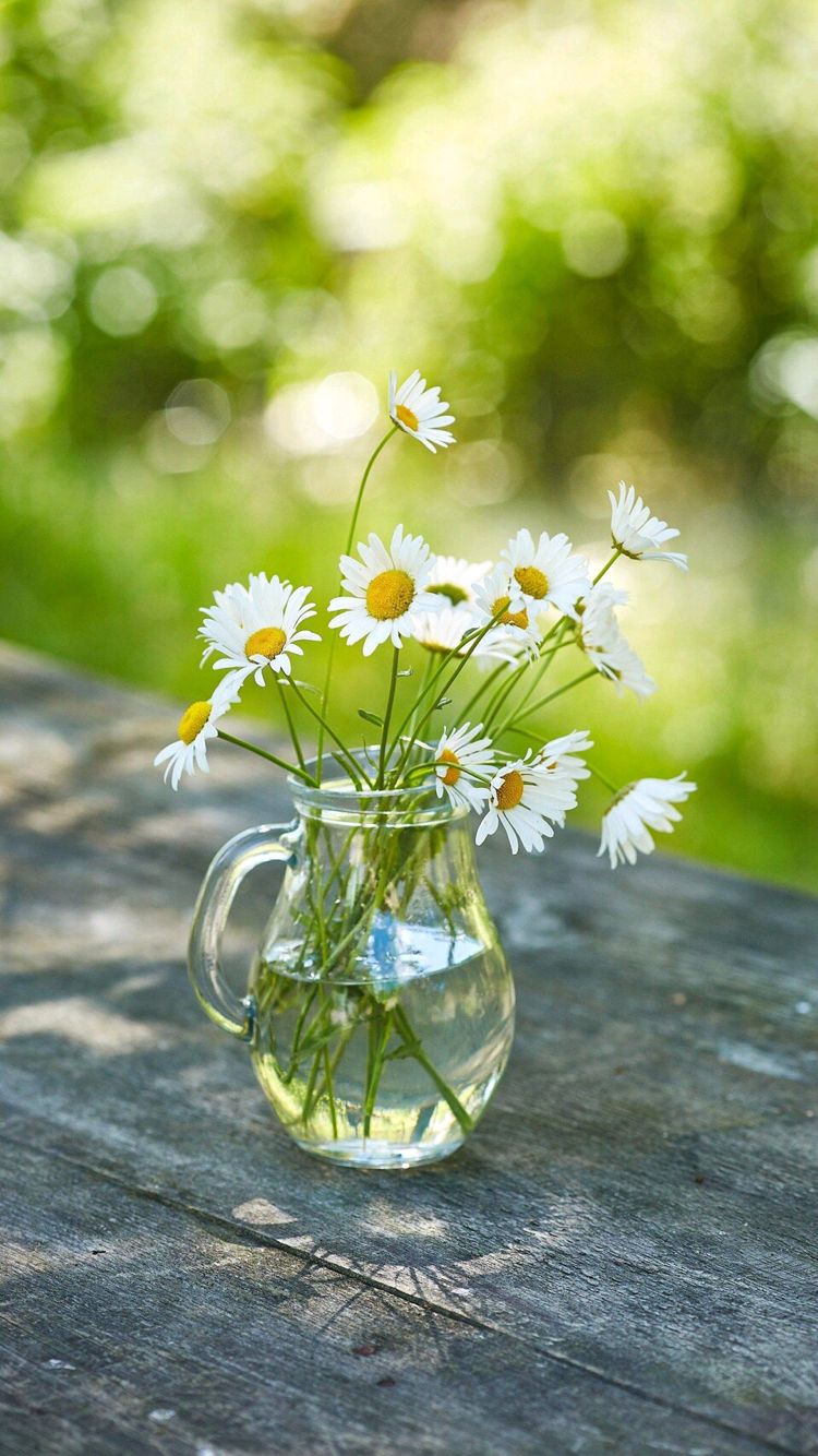 祖母绿的颜色太浅