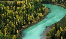 描写小溪的句子