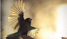 关于品德的人生感悟句子