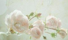 励志的句子致自己简短40句