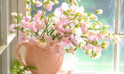 请跟随小编第一句话的脚步