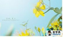 形容初夏季节的词语