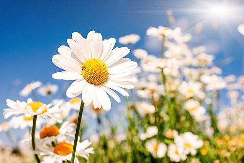 相信有这么多朋友的爱与鼓励