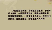 表达珍惜爱情的句子