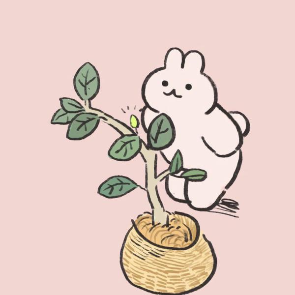 快乐是我们每天必不可少的任务