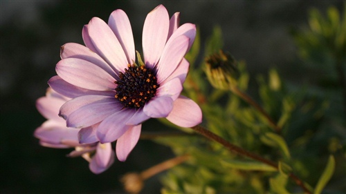 如果你变得越来越沉默并且不想越来越多地说话