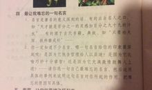 我难忘的一句名言