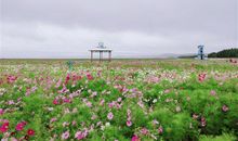 朋友圈发风景配文字 适合风景的朋友圈句子