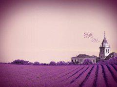 我独自扮演了自己的悲伤