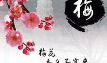 赞美梅花的名言