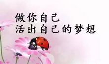 一句话正能量语录