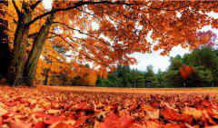 关于离别的唯美句子大全 9