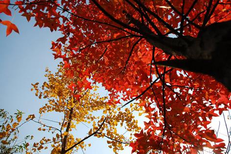但是却留给了红色粉末的女孩谁负责你的青春