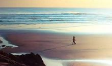 努力不后悔的句子