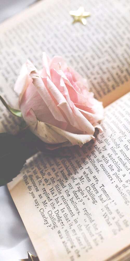 野外小道埋葬香