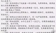 描写班级活动的句子