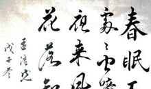 有关描写鸟的诗句