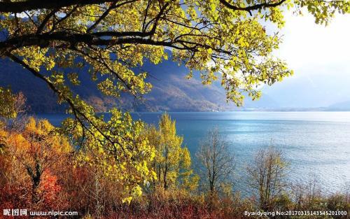 唯美英文句子 1