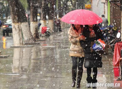 雨滴像大网一样连接在一起