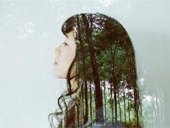 有太多单词要说