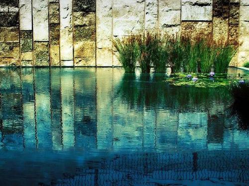 那些决定不再见面的人