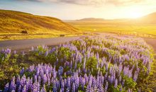 忧郁心烦的句子说说心情说说心情