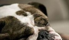 最搞笑的语录：我划船不用浆，全靠浪