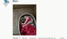 微信朋友圈里发的迷茫说说