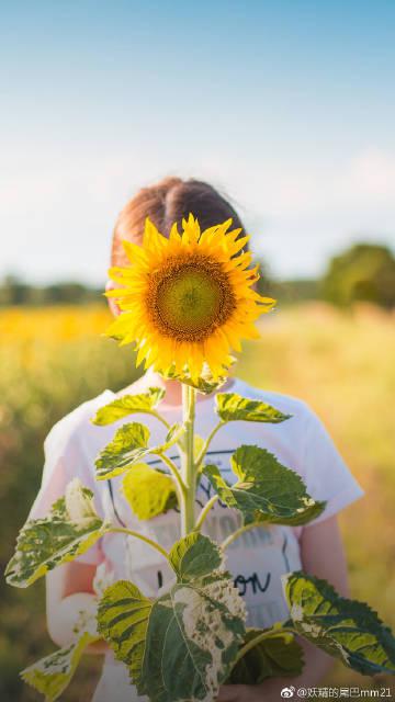 里面装满了杯子（悲剧）