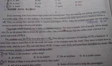 关于圣诞节的短信