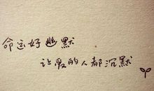 唯美的令人落泪的句子