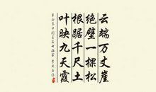 赞美青松的诗句古诗