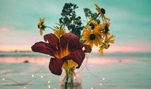 心烦没人能理解句子