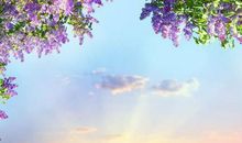 描写美丽春景的诗句