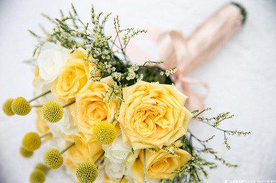 我们哭泣并祝福