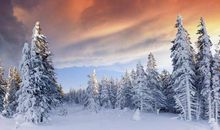 有关描写冬天的谚语