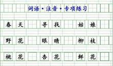 二年级描写春天词语
