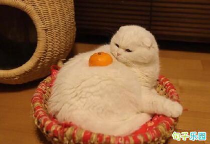 Double 11即将到来