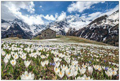 我不是奥斯卡影帝