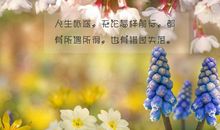 描写美好的诗句