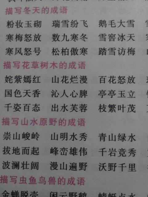   形容女性气质的成语  1