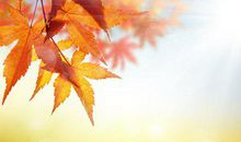 又头痛又心烦的句子