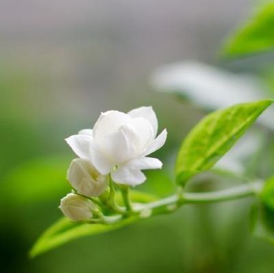 太多的故事隐藏在我的心底