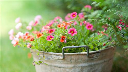 有时候我只是想一个人呆