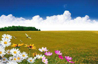 轻轻拨您的电话按钮