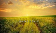 朋友圈励志的美好的晚安语录