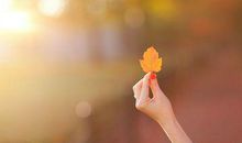 森系短句子，森系诗意短句