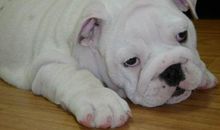 惆怅和心酸的句子