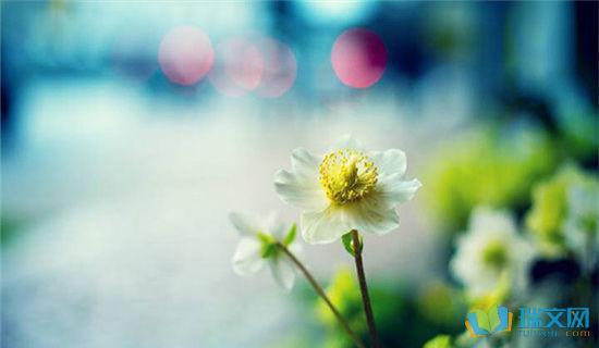 丽江是一个迷人的小镇