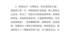 描写春天的优美段落